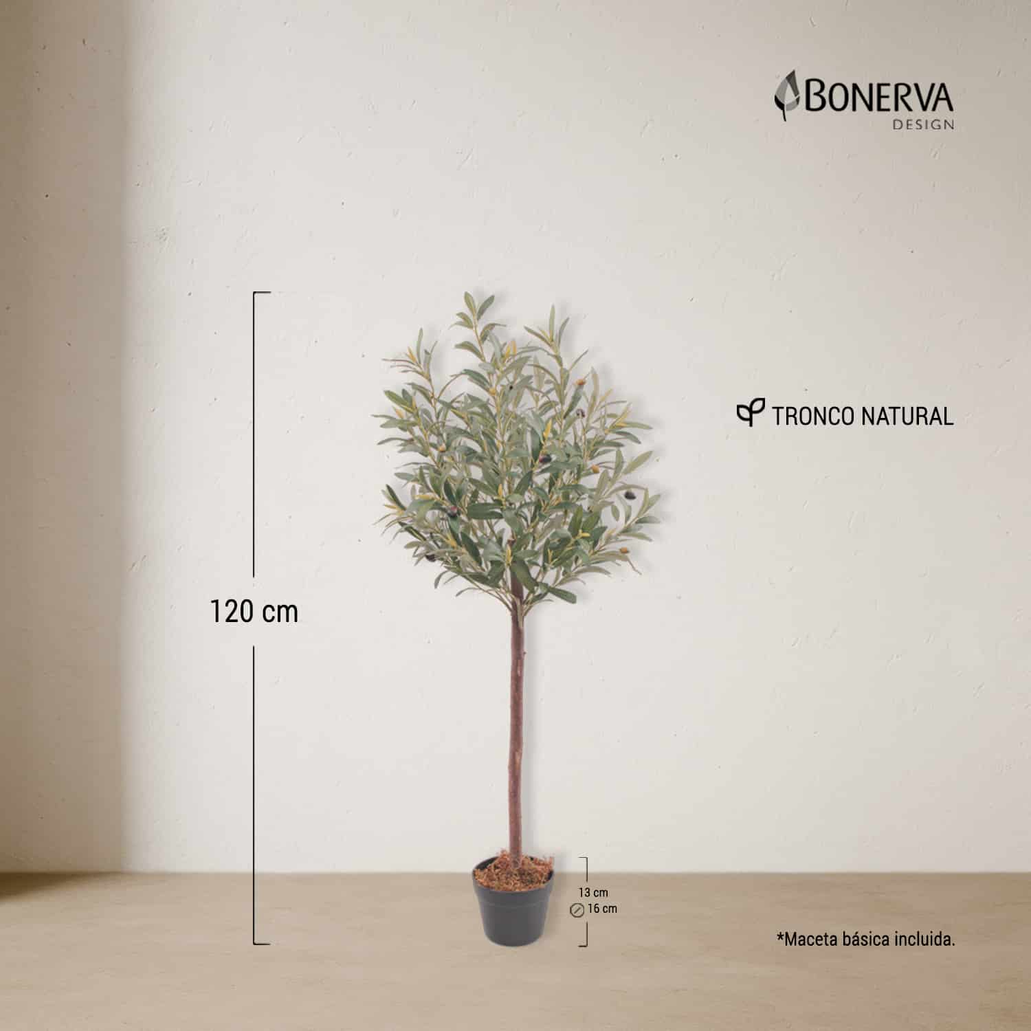Olivo Nature 120