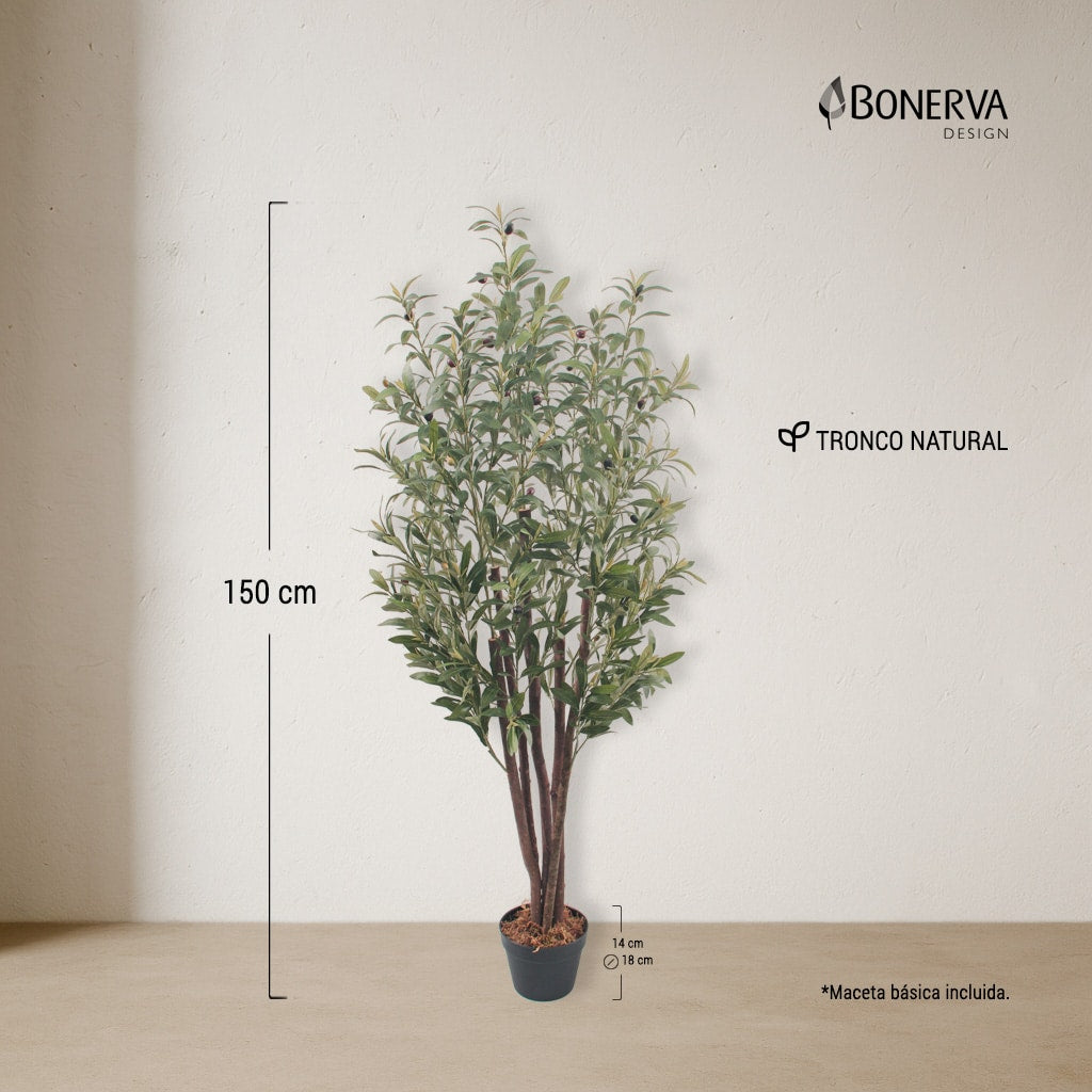 Olivo Nature 150
