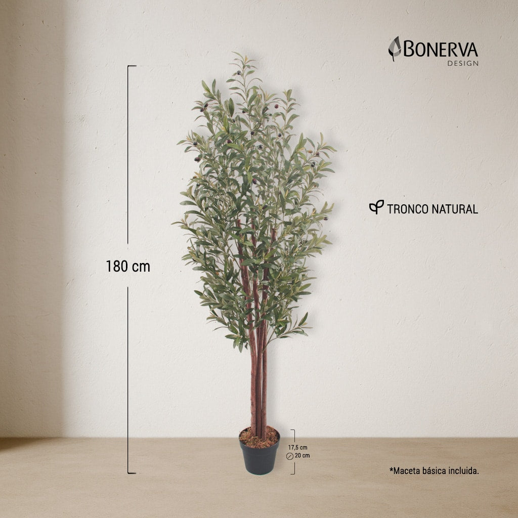 Olivo Nature 180