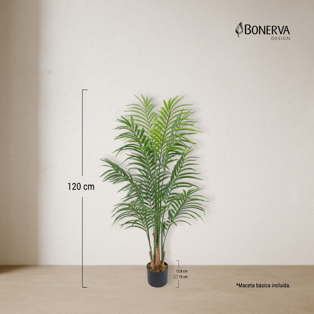 Palmera Deco 120