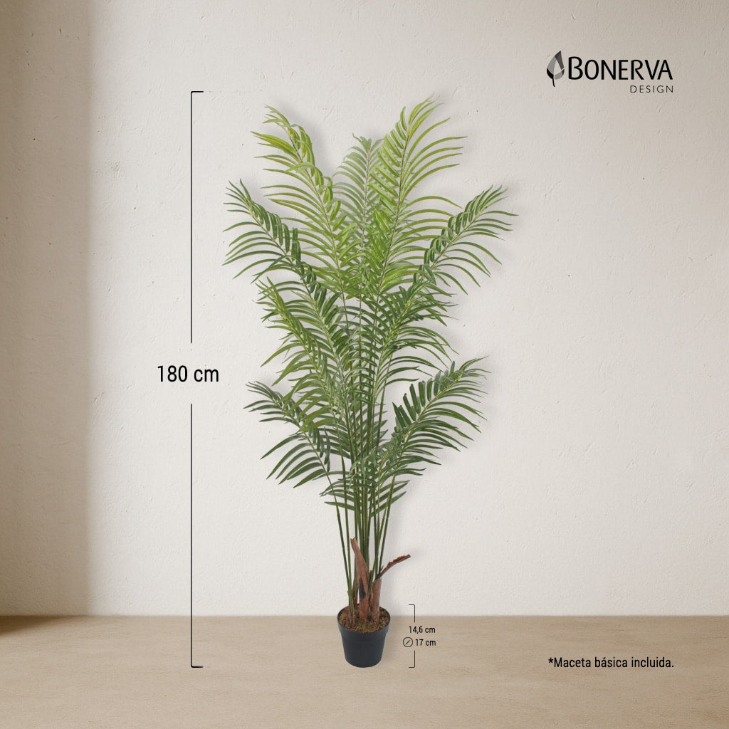 Palmera Deco 180