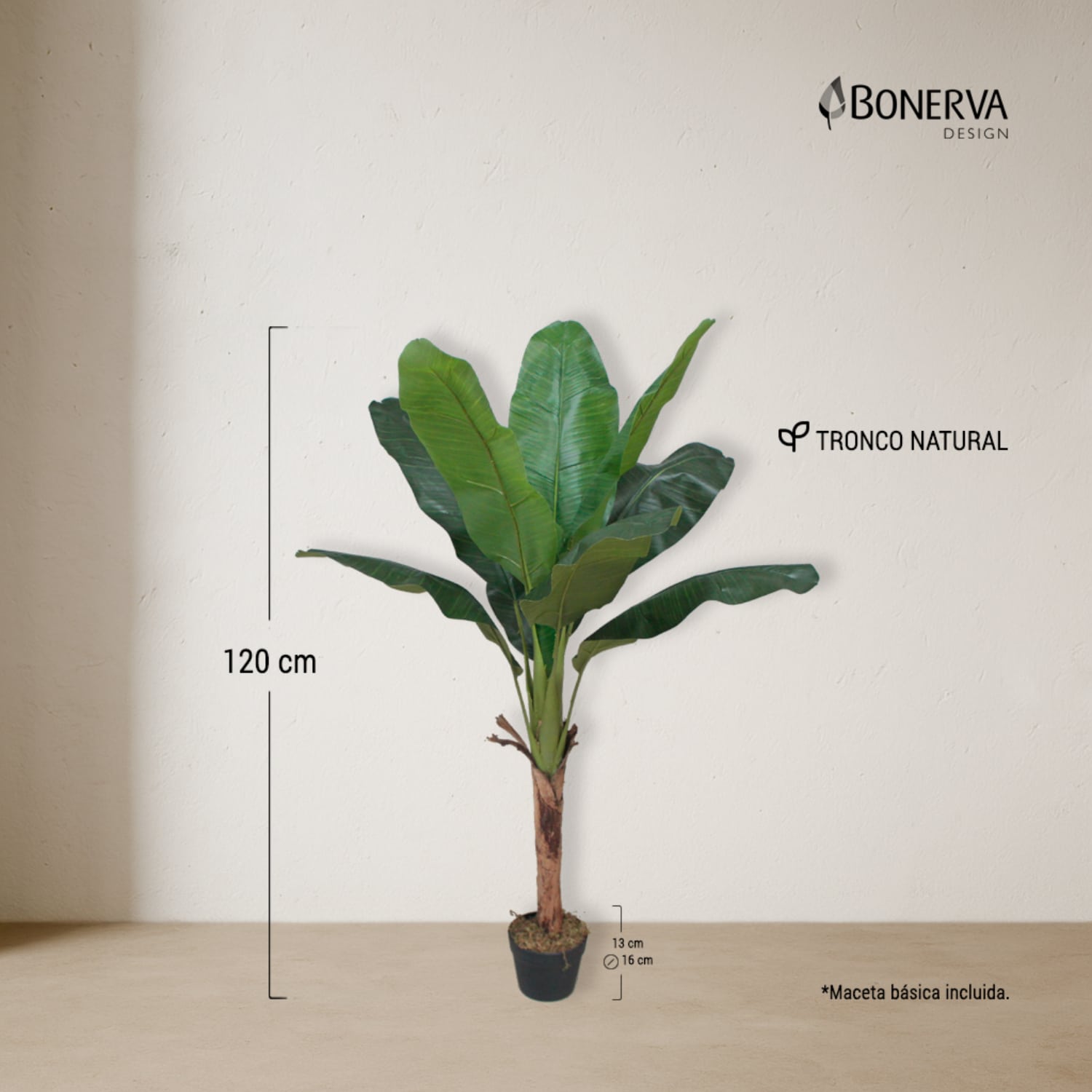 Platanera Nature 120