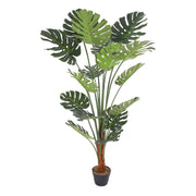Monstera Deco 150