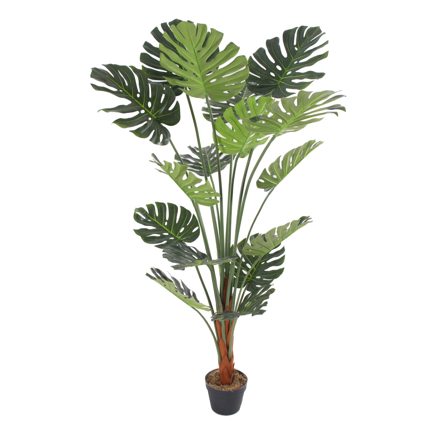 Monstera Deco 150
