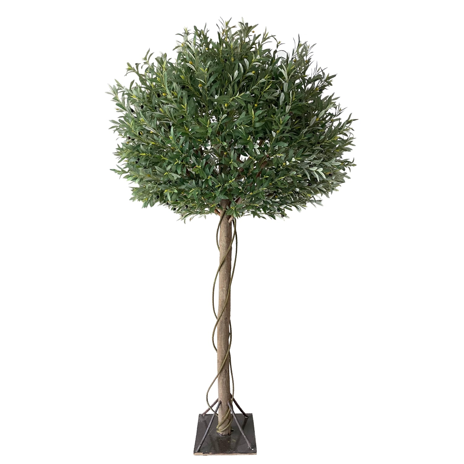 Olivo Luxe Nature 260