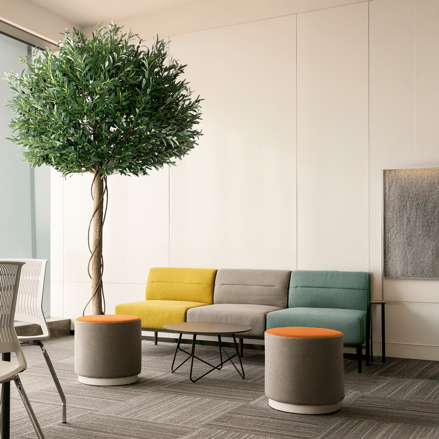Olivo Luxe Nature 260