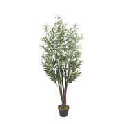 Olivo Nature 150