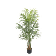 Palmera Deco 120