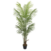 Palmera Deco 180