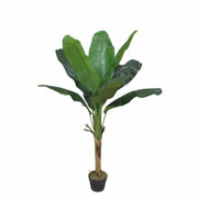 Platanera Nature 120