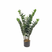 Zamioculca Deco 90