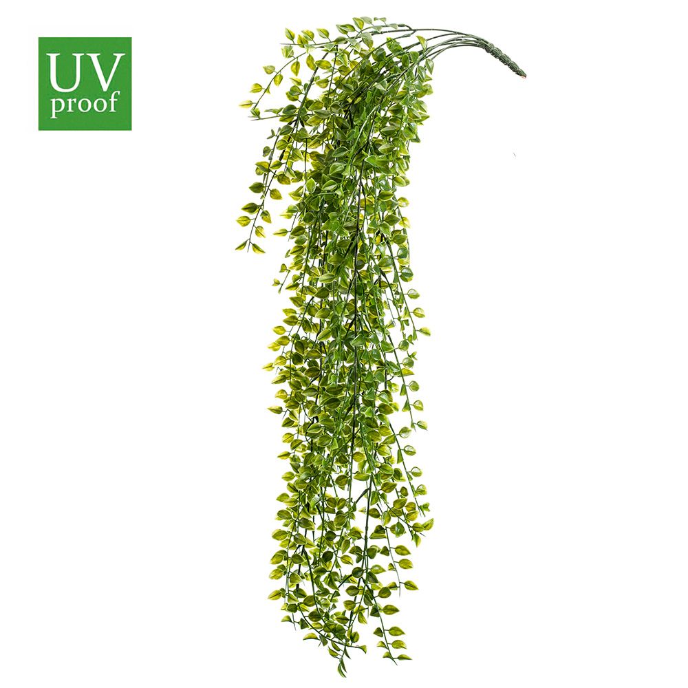 Planta colgante UV Exterior FICUS PUMILA de 80cm (Estuche 12 Unidades)