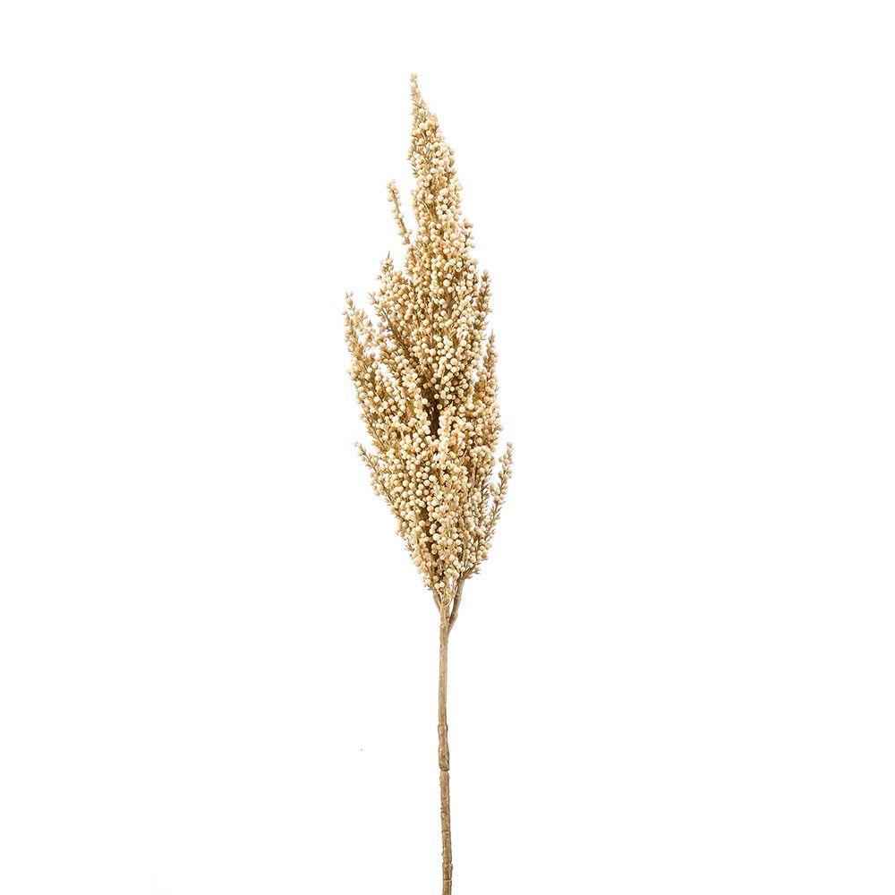 Sorgo en rama beis 82 cm. (12 unidades)