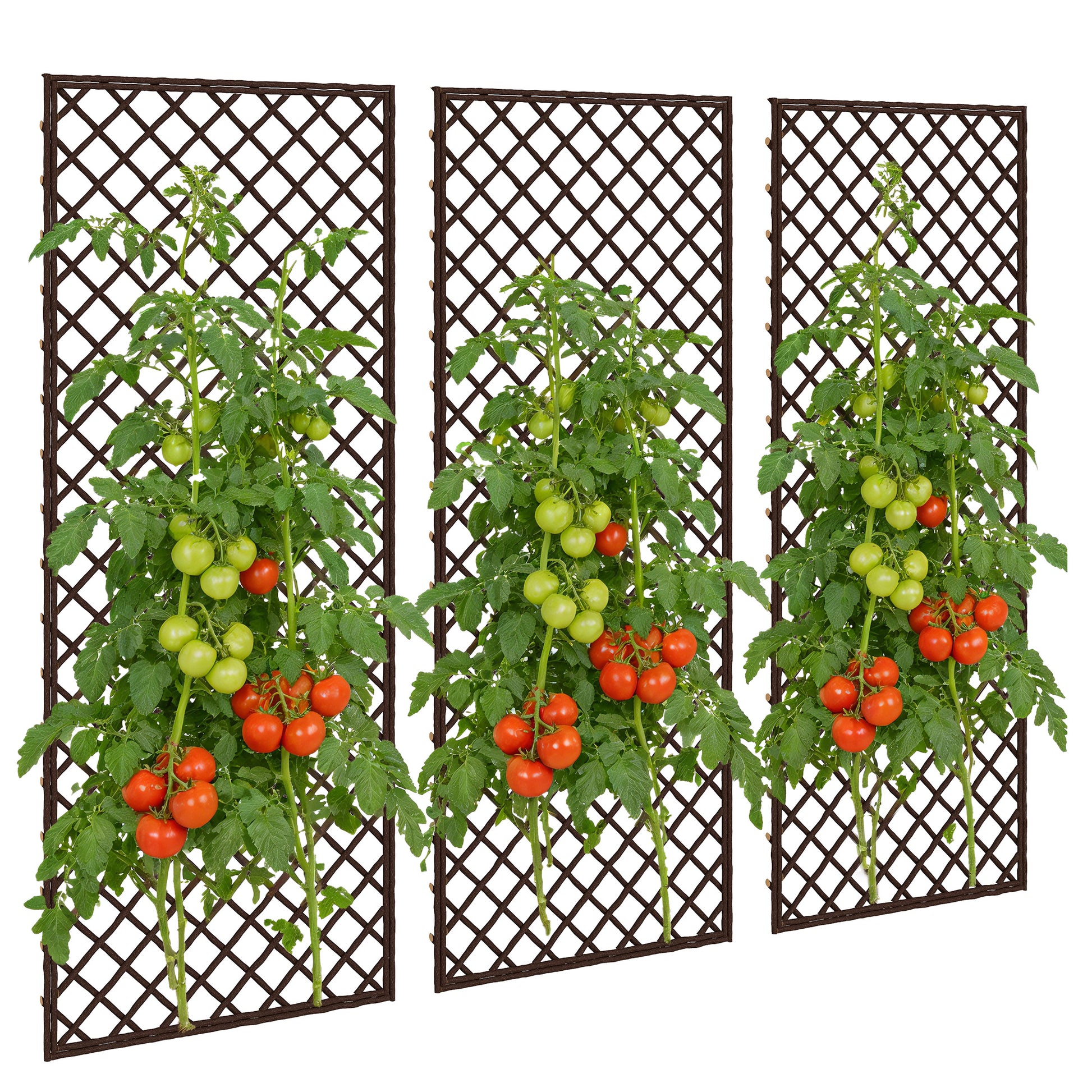 Outsunny Juego de 3 Enrejados de Jardín de Mimbre, Soportes para Plantas Trepadoras con Parte Superior Plana, para Frutas, Verduras, Flores, Decoración Exterior para Patio, 43x112 cm, Madera Natural