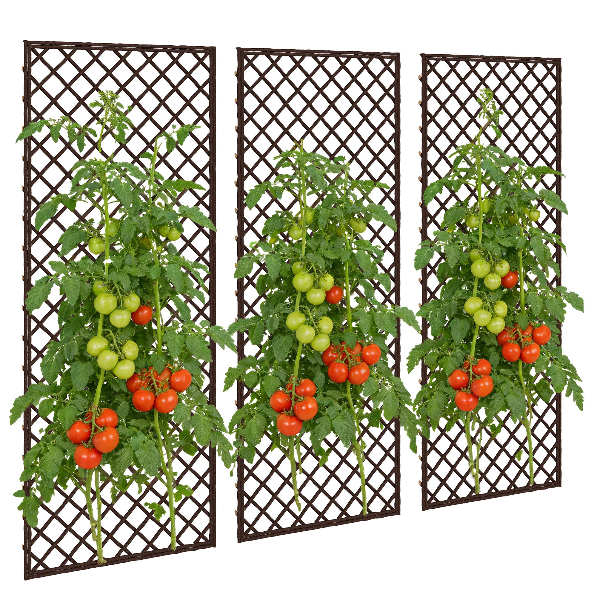 Outsunny Juego de 3 Enrejados de Jardín de Mimbre, Soportes para Plantas Trepadoras con Parte Superior Plana, para Frutas, Verduras, Flores, Decoración Exterior para Patio, 43x112 cm, Madera Natural
