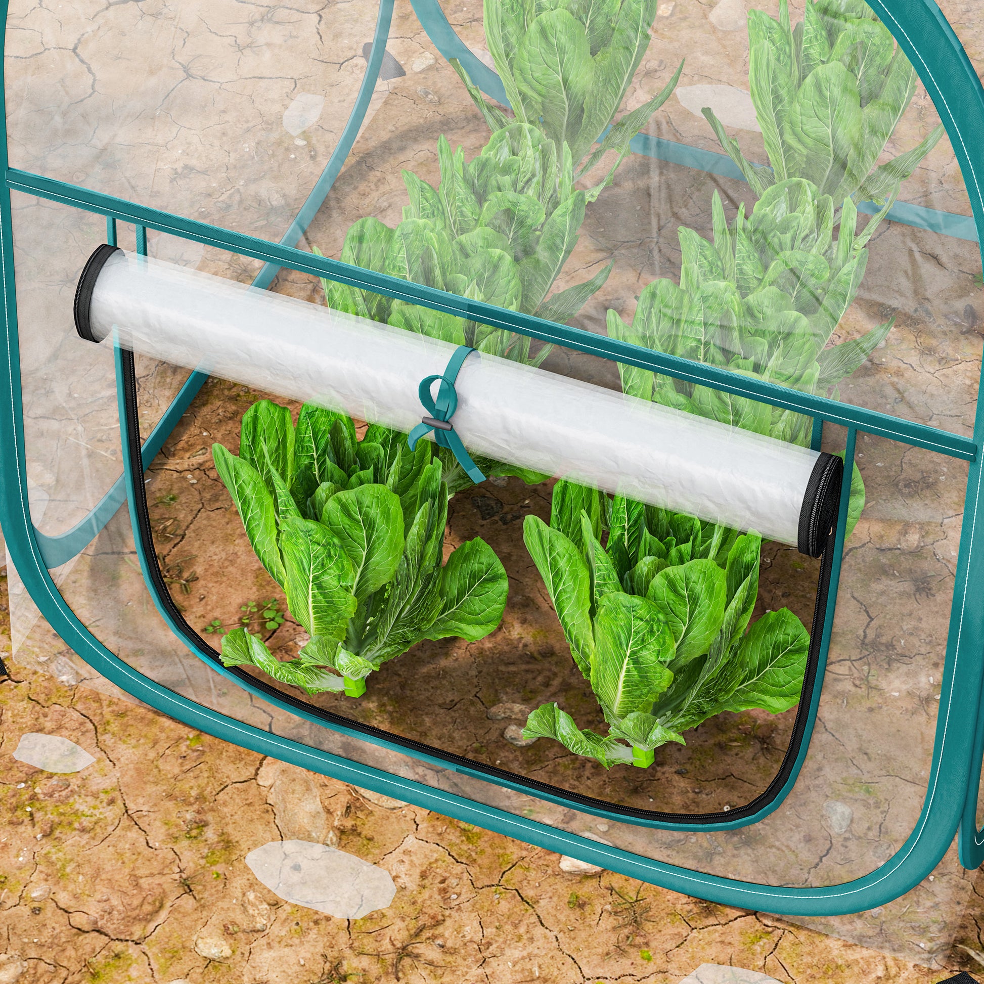 Outsunny Mini Invernadero Plegable Pop-up, Invernadero Exterior Transparente con Puerta Enrollable y Cubierta de Plástico, Contraviento, para Cultivar Plantas, Flores, 70x70x80 cm, Transparente
