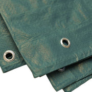 Toldo Reforzado 90gr. Verde 4x6 m