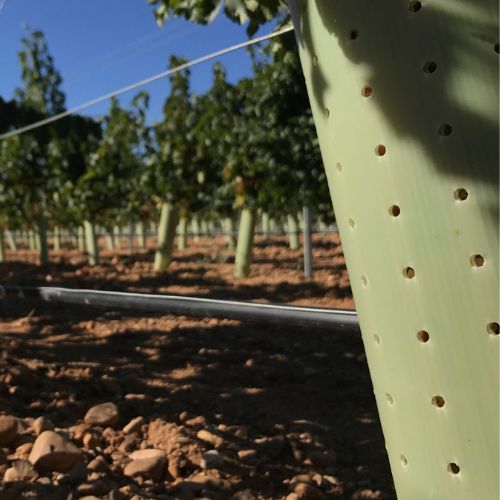 Tubo Protector de Árboles 100cm Novedad 2023