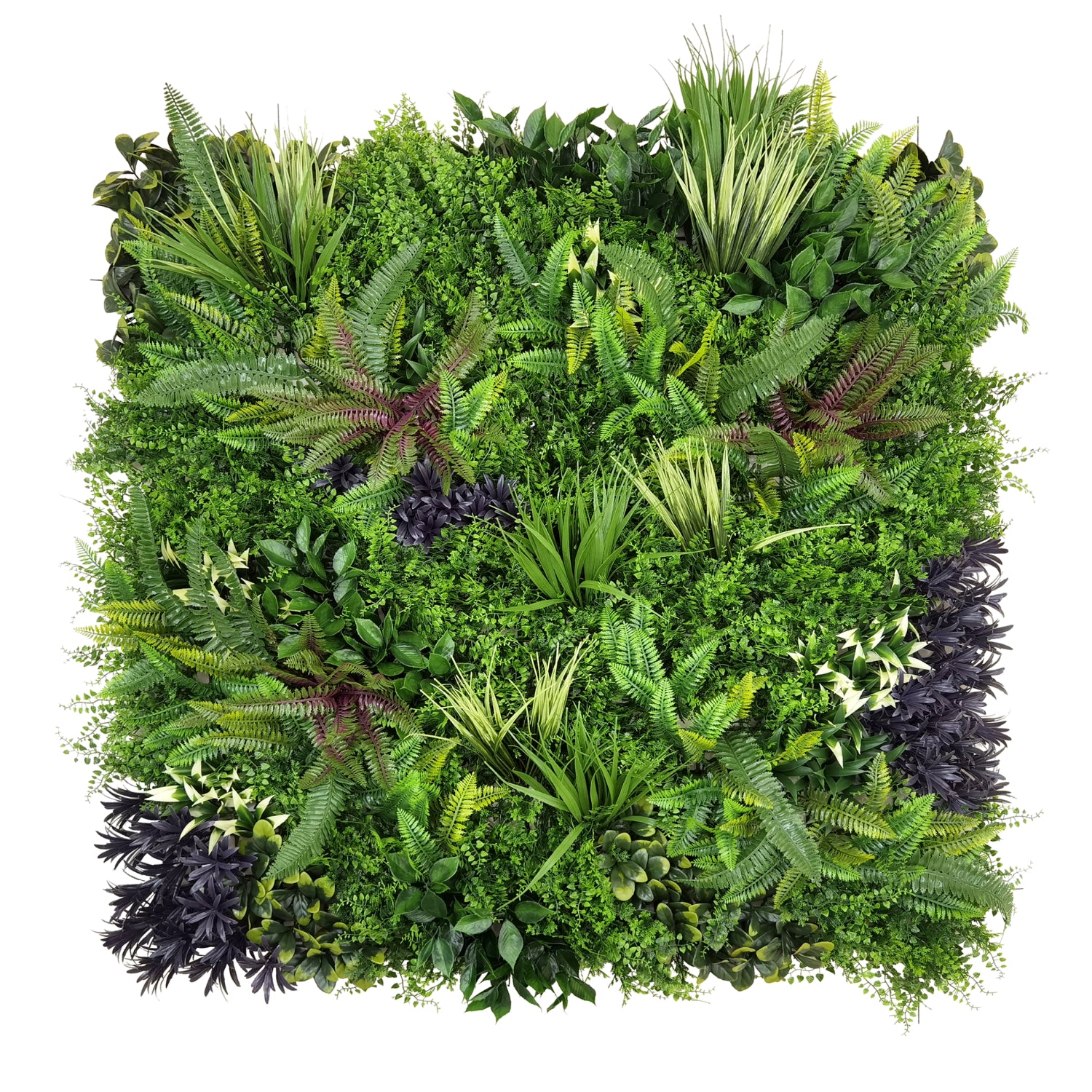 Bonerva | Jardín Vertical 3m2 A+B+C Amazonas (Piezas de 1 x 1 m)