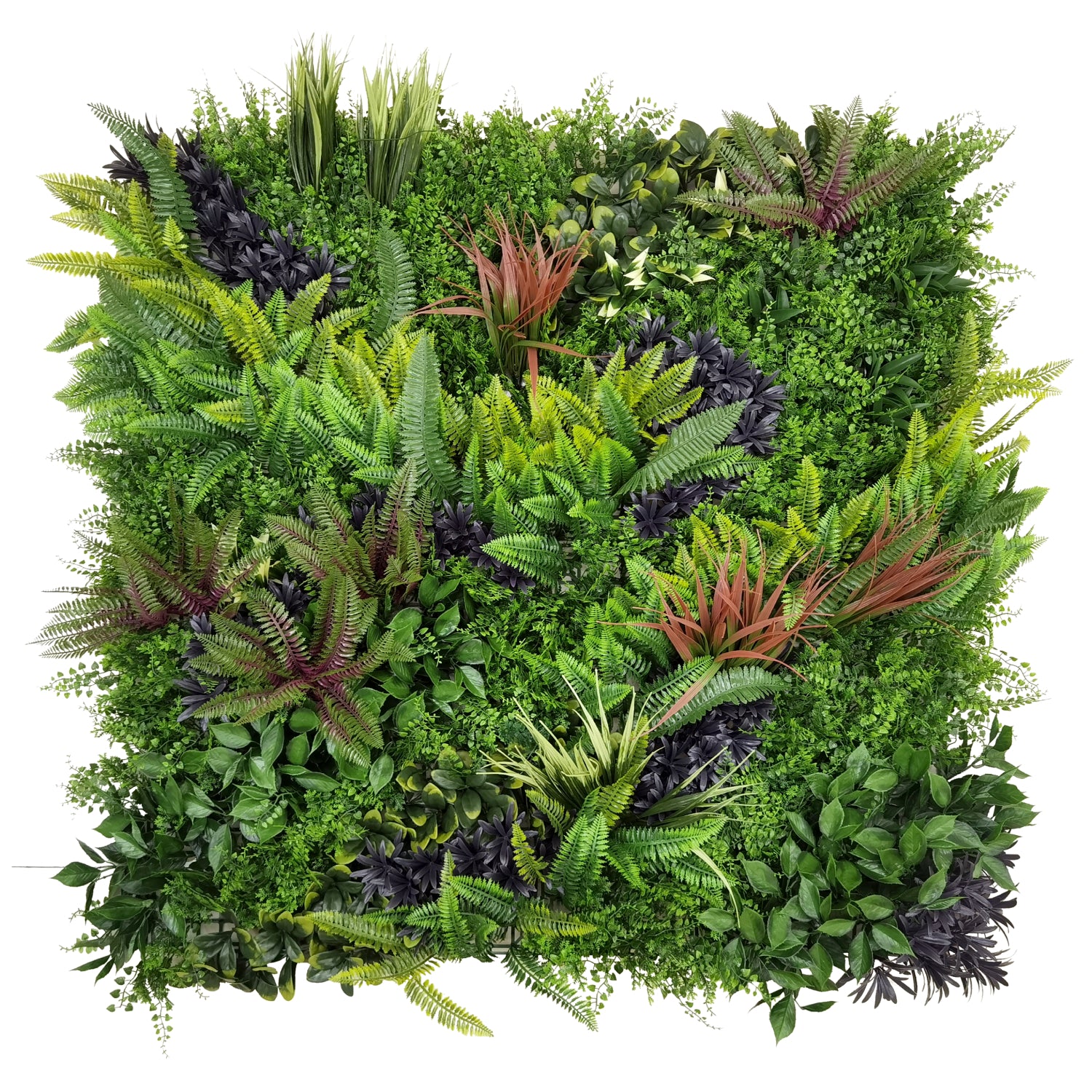 Bonerva | Jardín Vertical 3m2 A+B+C Amazonas (Piezas de 1 x 1 m)