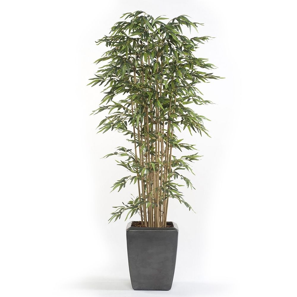 Árbol bambú modelo DELUXE de cañas natural y hoja luminosa tipo japones. Altura 215 cm y 3360 hojas.