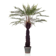Árbol DICKSONIA EXOTIC de 125 cm de altura con gran tronco revestido pelaje natural.