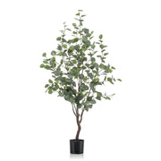 Árbol EUCALYPTUS. Alrura: 180 cm.