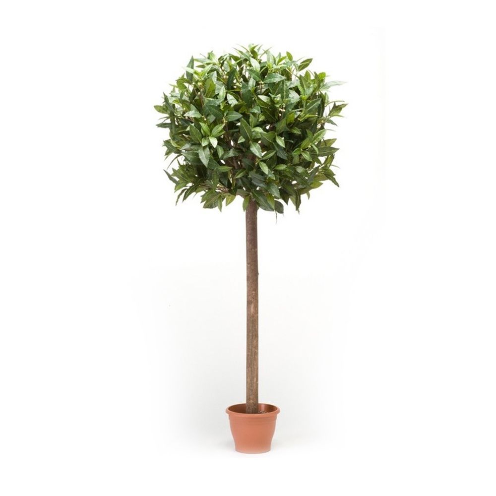 Árbol laurel ESFERA. Altura 95 cm y 851 hojas