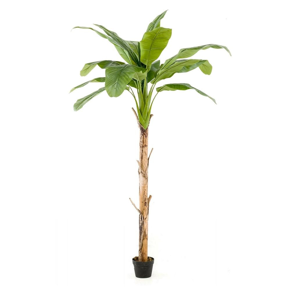 Árbol Platanero con 12 hojas altura 155 cm y tronco de alto realismo.