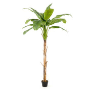 Árbol Platanero con 12 hojas altura 155 cm y tronco de alto realismo.