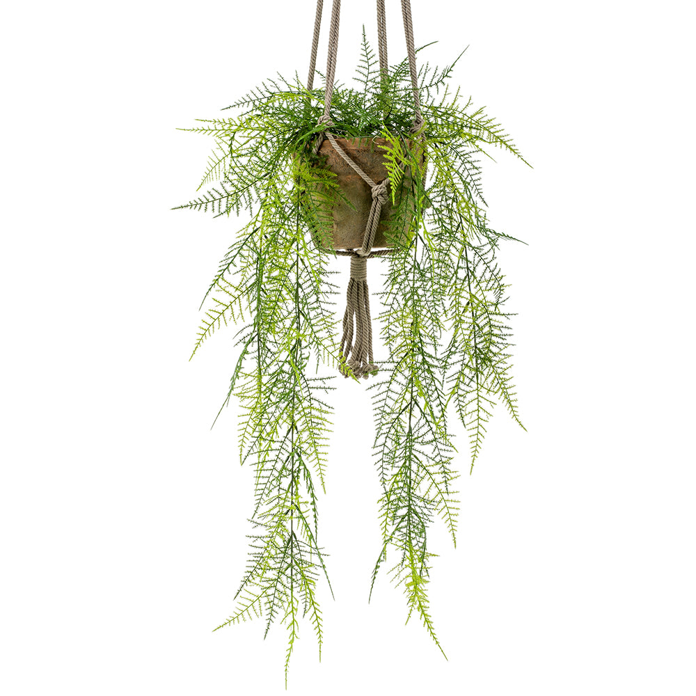 ARBUSTO PLUMOSO de 80 cm. Incluye macetero y cuerda decorativa. (Techo). (3 unidades)