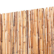 Bambú Decorativo Extra (Caña completa) Varias Medidas - Bonerva
