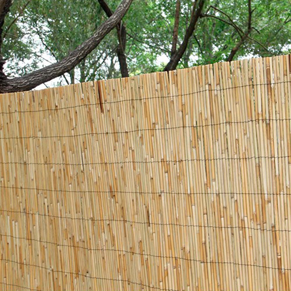 Bambú Decorativo Extra (Caña completa) Varias Medidas - Bonerva