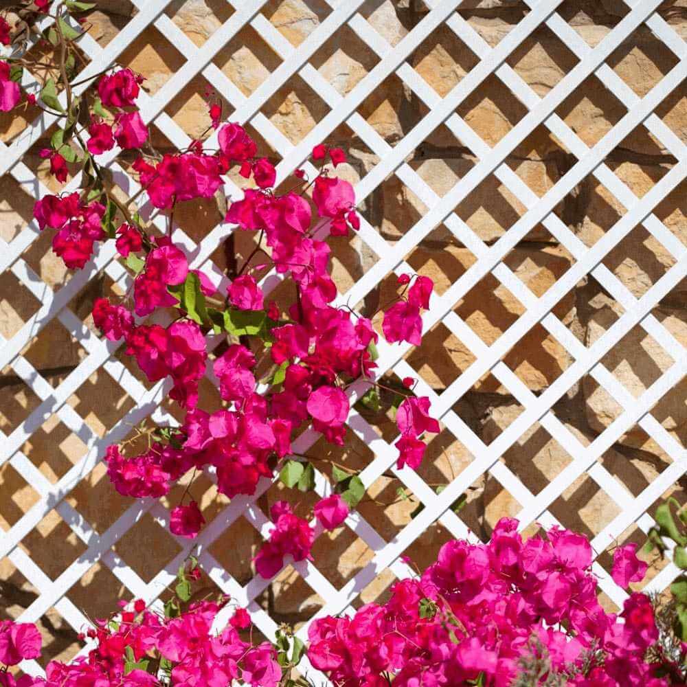 Celosía Extensible de PVC - Blanco - Bonerva