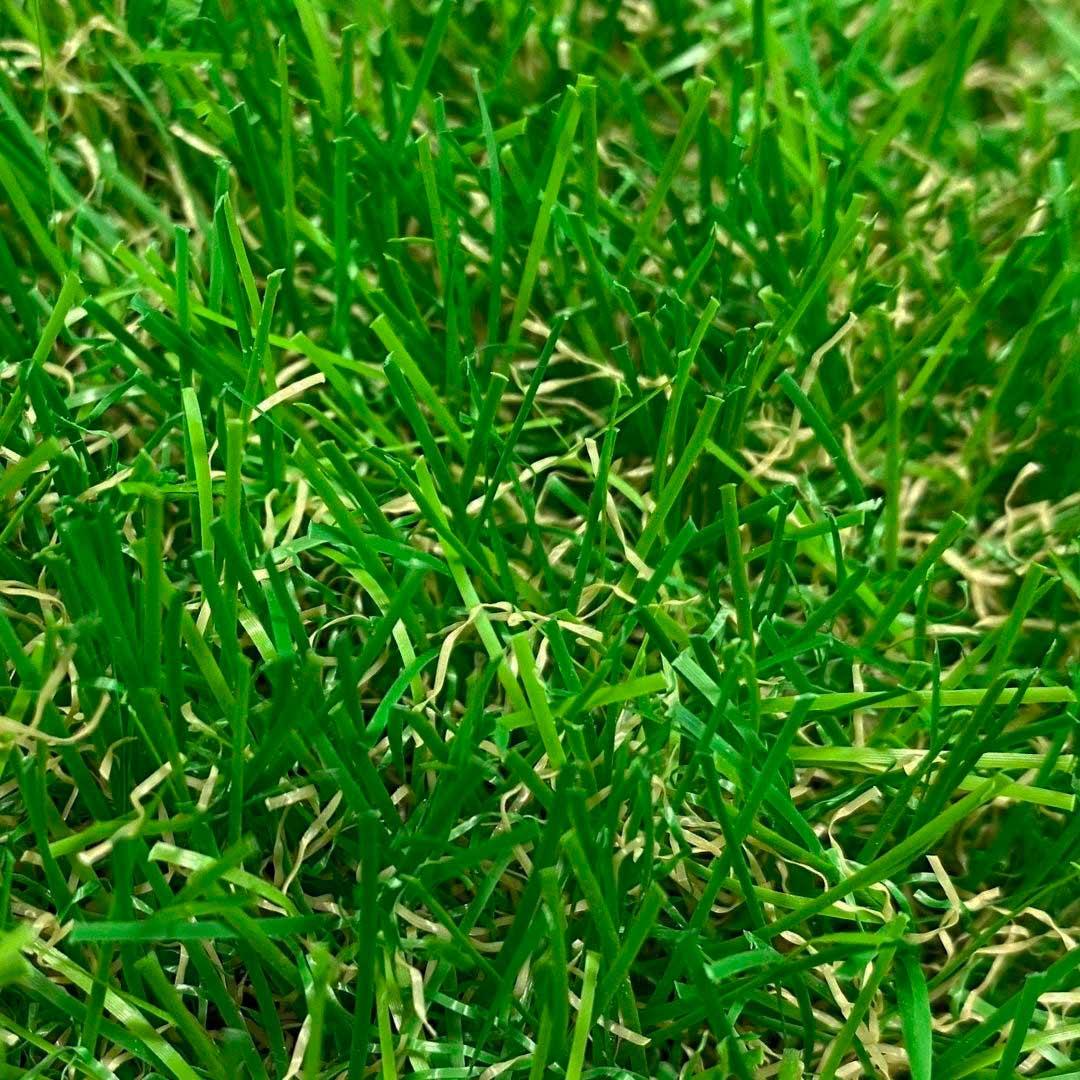 Césped Artificial Terraza Plus (40 mm)