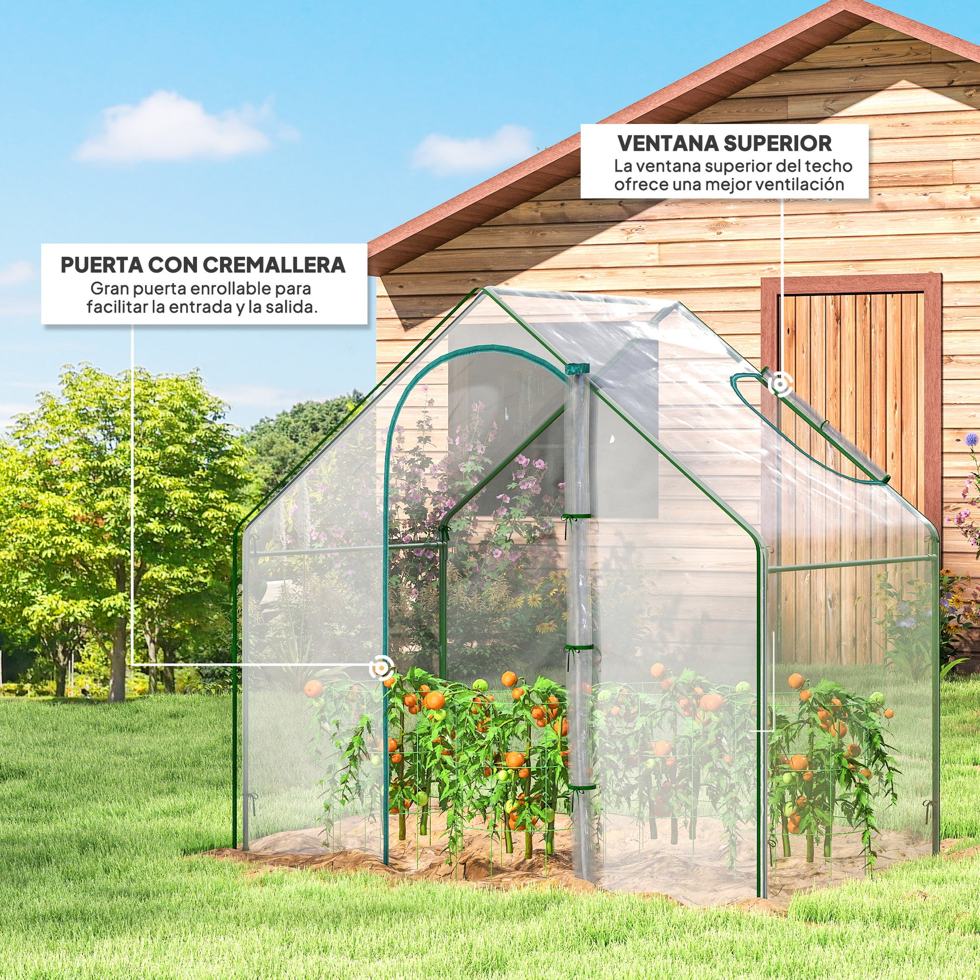 Outsunny Invernadero Pequeño, Invernadero de Exterior con Ventana y Puerta con Cremallera, Marco de Acero, Cubierta de Plástico Impermeable Anti-UV para Cultivar Plantas, 180x100x168 cm, Transparente