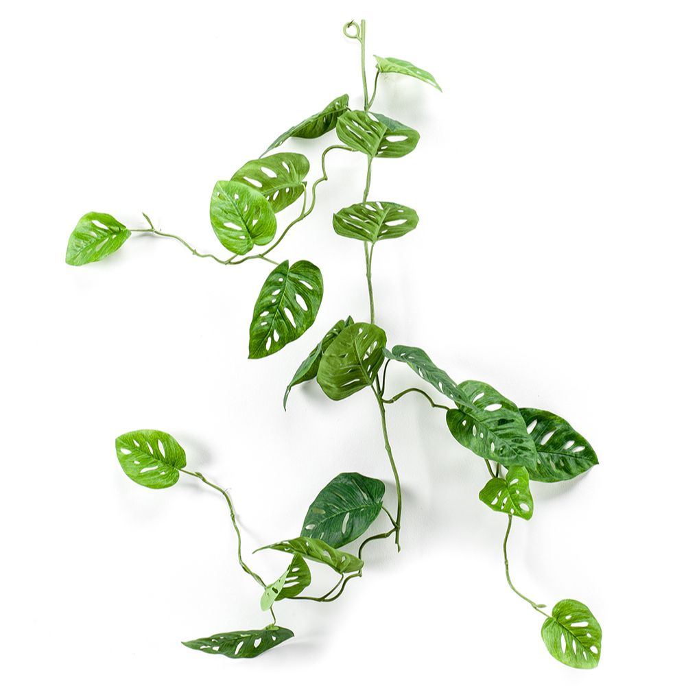 Planta colgante GIRNALDA MONSTERA de 120 cm. Color verde Caja de 12 unidades.