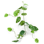 Planta colgante GIRNALDA MONSTERA de 120 cm. Color verde Caja de 12 unidades.