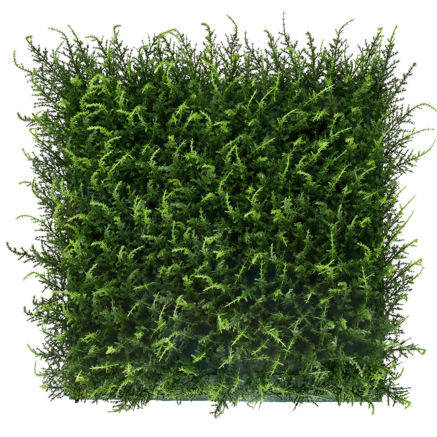 Bonerva | Jardín Vertical Halepensis Pack 4 Piezas 50x50cm