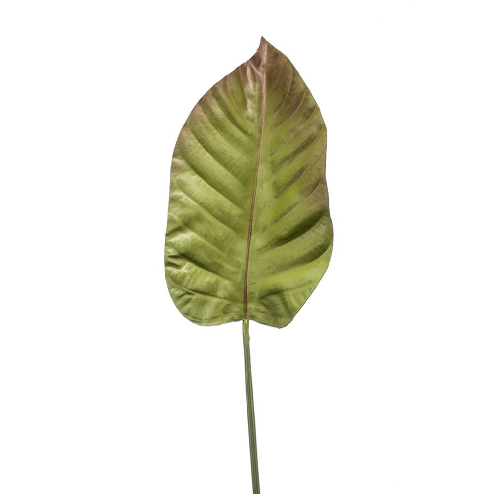 HOJA DE ANTURIO, color verde/marrón. Altura total: 100 cm (Diseña tu Jardín)