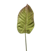 HOJA DE ANTURIO, color verde/marrón. Altura total: 100 cm (Diseña tu Jardín)