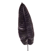 HOJA DE ELEFANTE BERENJENA en color berenjena. Altura total 105 cm. (Diseña tu Jardín)