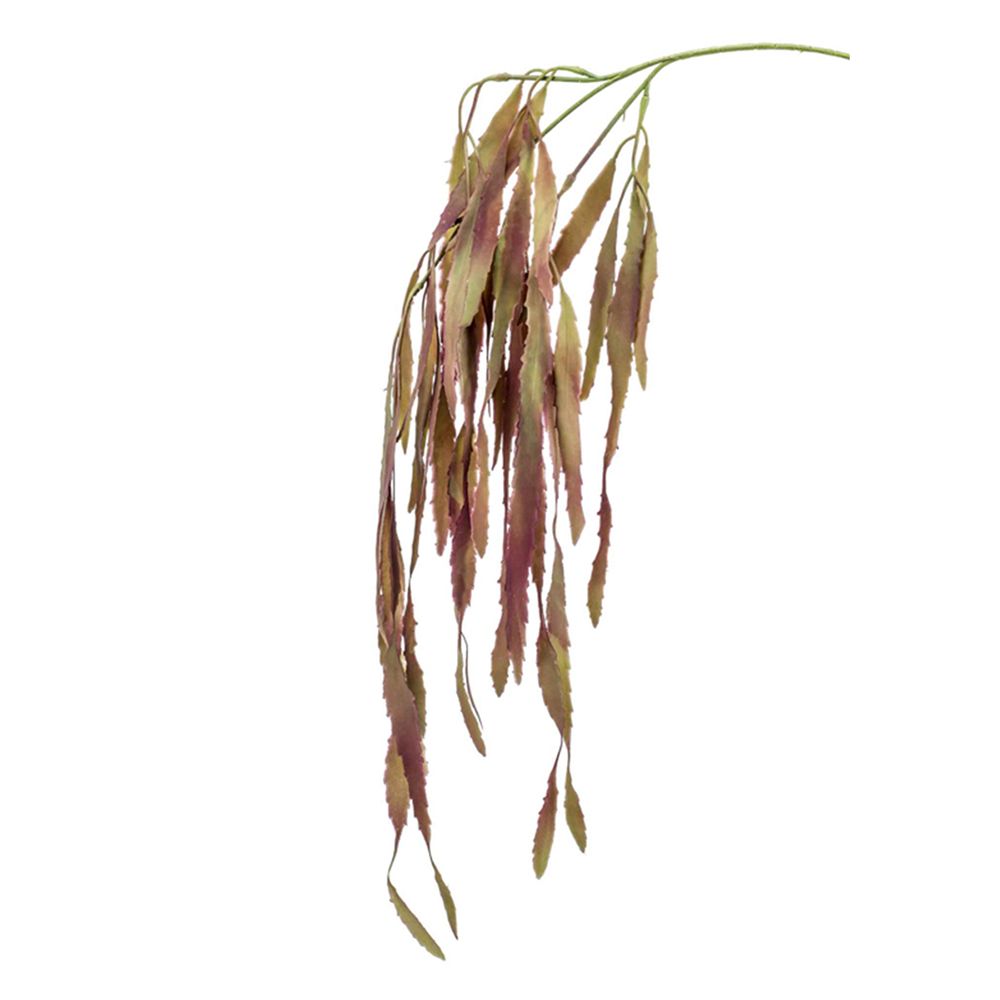 RHIPSALIS, color "burdeos apagado". Altura total: 80 cm (Diseña tu Jardín)