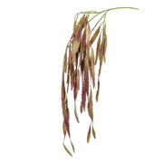 RHIPSALIS, color "burdeos apagado". Altura total: 80 cm (Diseña tu Jardín)