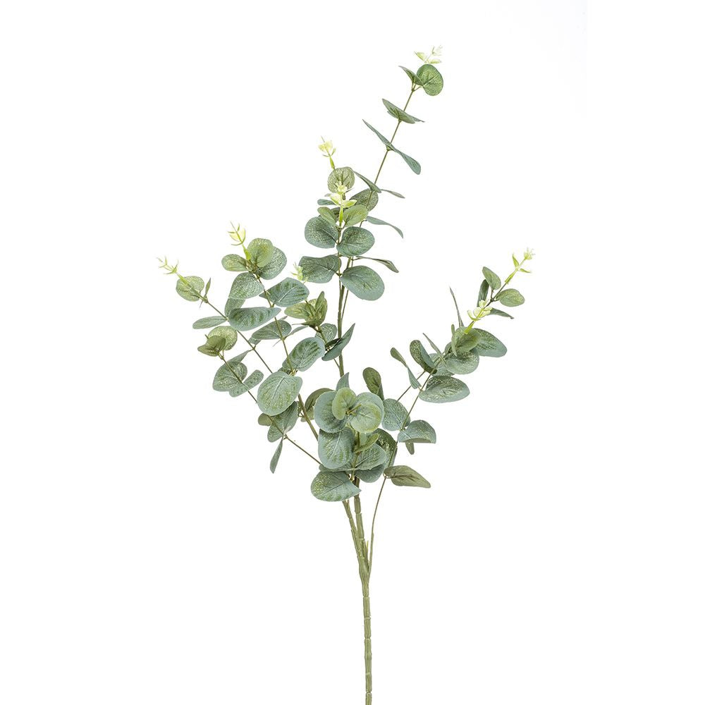 EUCALIPTO 75 CM (Pincha y Decora) (24 unidades)