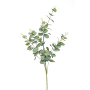 EUCALIPTO 75 CM (Pincha y Decora) (24 unidades)