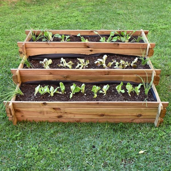 Huerto Urbano Escalera - 3 Alturas