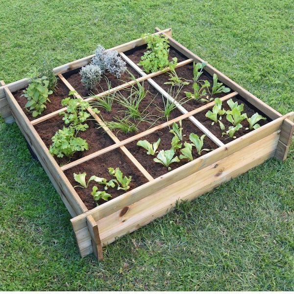 Huerto Urbano Suelo - 9 Departamentos