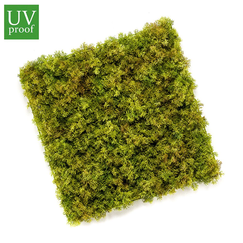 Jardín Vertical modelo HIEDRA, placa de 50x50 cm con protección UV y resistencia al agua.