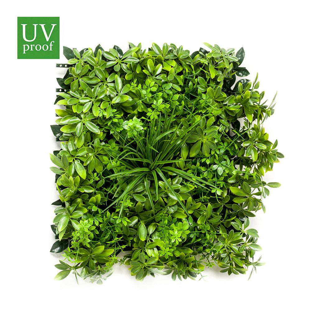 Jardín vertical modelo CHEFLERA, placa de 50x50 cm. Protección UV y resistente al agua.